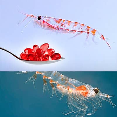 beneficios del krill aceite