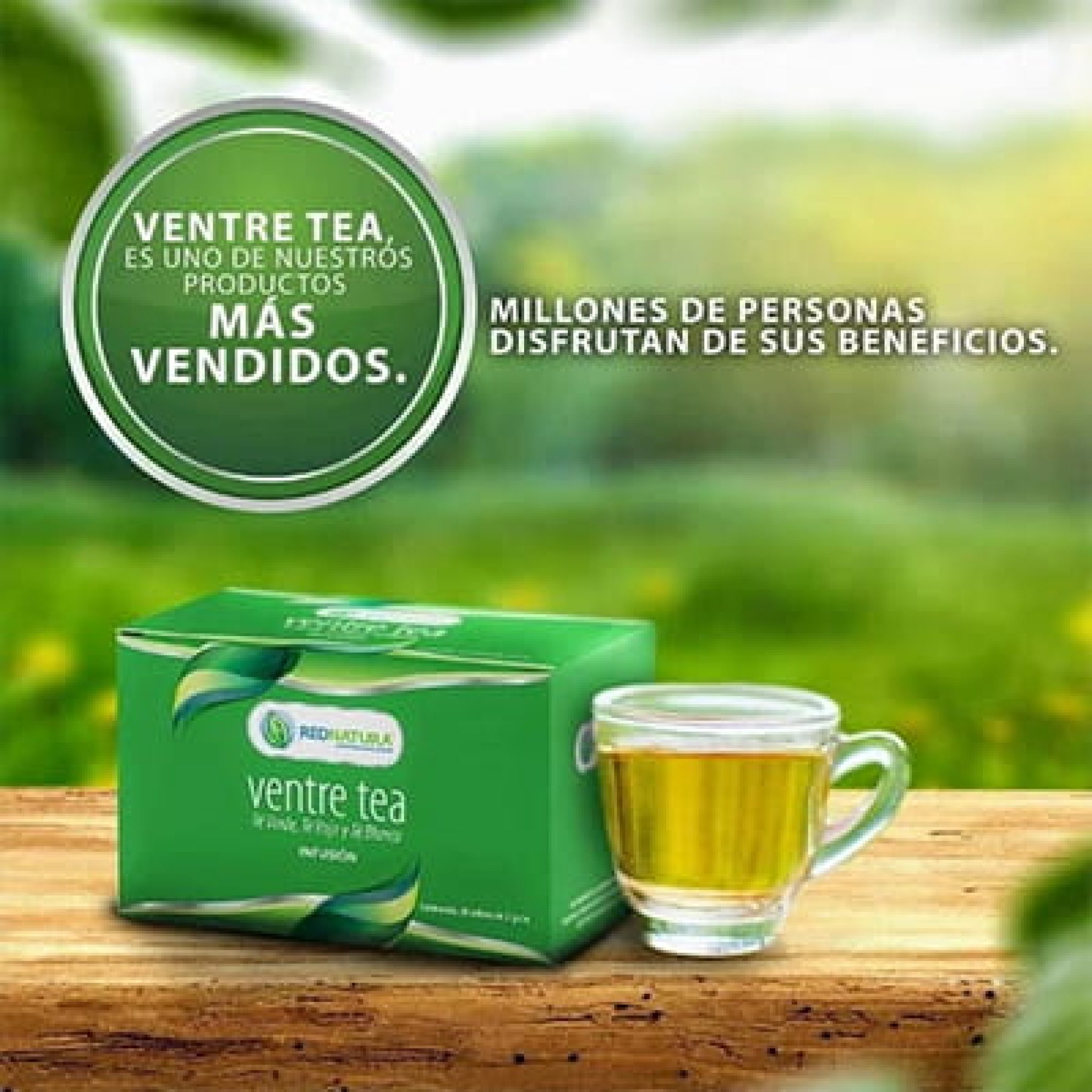 Ventre Tea: Descubre sus Beneficios y desintoxica todo tu organismo...